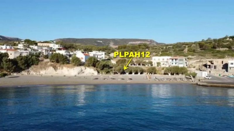 Pachia Ammos Kreta, Pachia Ammos: Baugrundstück am Strand zu verkaufen Grundstück kaufen